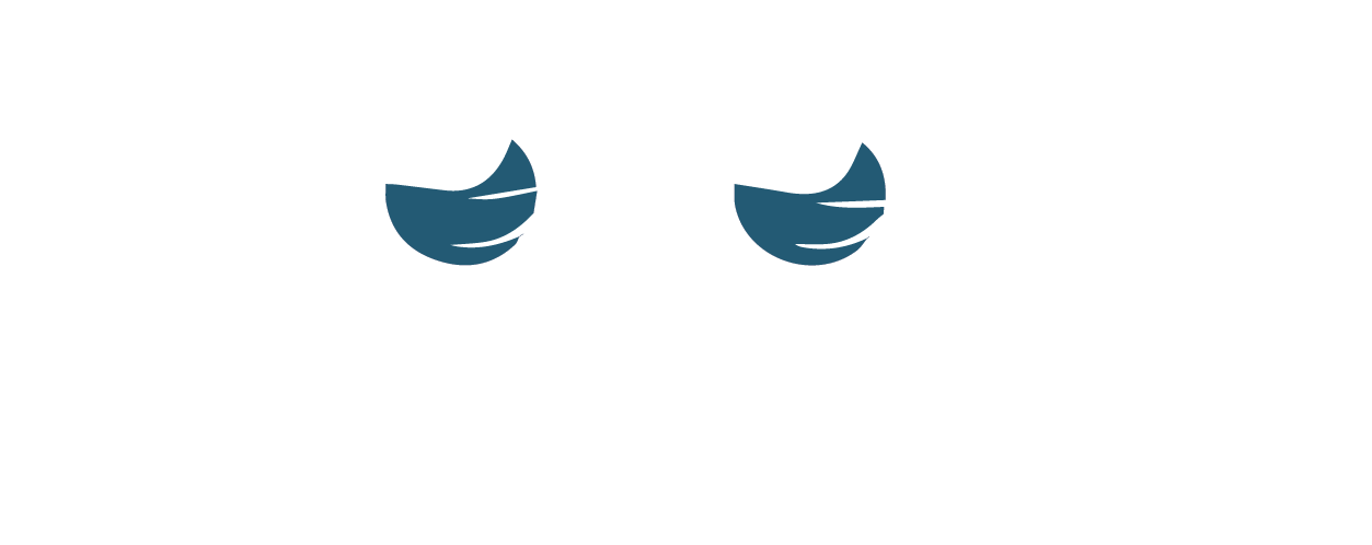 Zoom Production